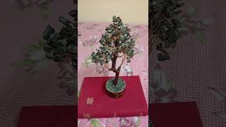 pyrite tree.9830244258 money Magnet energy ♥️