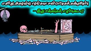 எகிப்து அகழாய்வு: பழங்கால சவப்பெட்டிகள் கண்டுபிடிப்பு  - இது மன்னர்கள் எழும்புகூடா? #mystery #viral