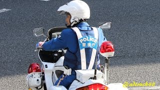 白バイの取締　信号が赤になり左折した車両は信号無視となります。