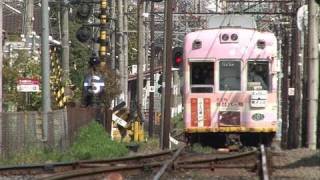 龍安寺駅に春が来た　京都/嵐電 Spring of Ryoanji Station(Kyoto/Japan)