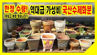 (긴급입수)한정품 국산수제화분 입고되었습니다! 얼른 찜해가세요