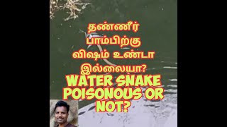 தண்ணீர் பாம்பிற்கு விஷம் உண்டா இல்லையா water snake poisonous or not