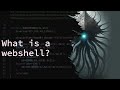 What is a web shell? Exploring a popular web shells capabilities for malware analysis!