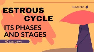 Estrus Cycle and Its Phases and Stages.