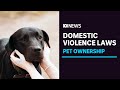 Calls for family violence law reform to help victims and their pets | ABC News