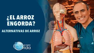 ¿EL ARROZ ENGORDA? ALTERNATIVAS DE ARROZ - HACIA UN NUEVO ESTILO DE VIDA
