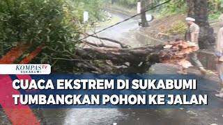 Cuaca Ekstrem Di Sukabumi Tumbangkan Pohon Ke Jalan