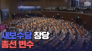 [대구MBC뉴스] 새로운 보수당 창당 \