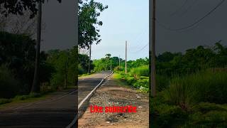 jungle | forests | tere waste song |#shorts |#video