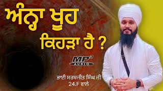 ਅੰਨ੍ਹਾ ਖੂਹ ਕਿਹੜਾ ਹੈ ? • Bhai Sarbjeet Singh Ji 24.F Wale