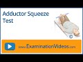 Adductor Squeeze Test