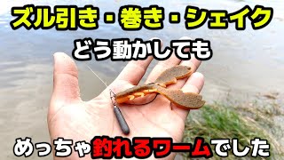 今年の新作ワームが釣れる要素だらけ！実際釣れるので使い方、釣り方を紹介します【バス釣り】【8月】【9月】【マックスセント】