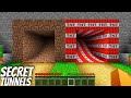 I found a NEW SECRET TUNNEL in Minecraft ! DIAMOND TUNNEL vs GOLD TUNNEL !