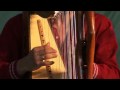 Paraguayan Harpist Marcelo Rojas and Álvaro Marazzi [Live at Smithsonian Folklife Festival 2009]