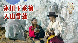 川西的雪山深处，有座隐世牧场，藏族小美女决定去到冰川附近，寻找传说中的天山雪莲【秘境探秘】
