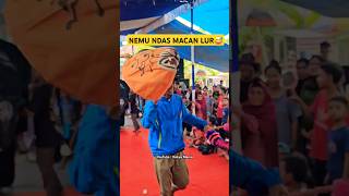 NDAS MACAN UCOL 😅 Bantengan Macan Gelut Lucu banget  #bantengan #barongan #lucu #videolucu #ngakak