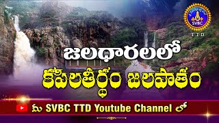 జలధారలలో కపిలతీర్థం జలపాతం | Kapilatheerdham Water falls | Titupati | SVBCTTD