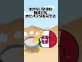 イタリア最弱戦記【ポーランドボール】 ポーランドボール polandball