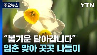 "봄기운 담아갑니다."...나들이객, 입춘 맞아 봄꽃 즐겨 / YTN