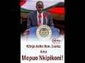 Kitejo Ashe Ole Lenku, Mepuo Nkipikoni