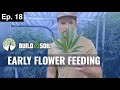 BuildASoil: 10x10 GROW TOUR // REVIEWING OUR FEEDING SCHEDULE (Season 4, Episode 18)