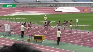 関東インカレ　男子１部　110nH決勝　２０１５．５.１６