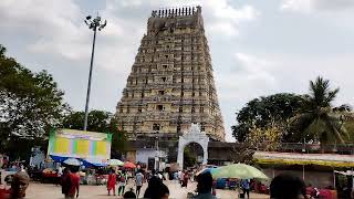 Kanchipuram - City of Temples, Travel video #travel #kanchipuram #tamilnadu #chennai #vlog #places