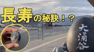 【スマ旅(Vlog)～Let's enjoy Japan‼】長寿！？大涌谷で黒たまごをゲット！