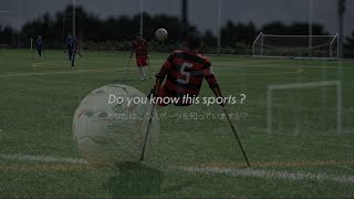 このスポーツを見たことがありますか？