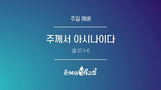 은혜의 샘물 교회 23.02.26 주일 예배