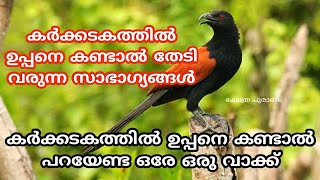 കർക്കടകത്തിൽ ഉപ്പനെ കണ്ടാൽ ചിങ്ങത്തിലും ഈ സൗഭാഗ്യങ്ങൾ തേടി വരും