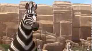 Khumba - Official Trailer HD