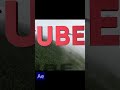 Showing the 3D camera tracker in After Effects