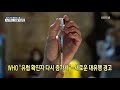 코로나19 국제뉴스 who “유럽 확진자 다시 증가세”…새로운 대유행 경고 kbs 2021.07.02.