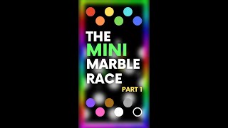 The Mini Marble Race (Part 1/11)