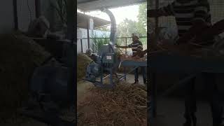 kutti machine #chaffcutter #agriculture