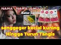 Nama-Nama Ilmu Orang sasak mulai dari Sengger hingga semerik