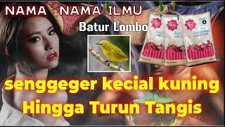 Nama-Nama Ilmu Orang sasak mulai dari Sengger hingga semerik