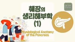 [제429회][2022.8.5.] 췌장의 생리해부학(1) Physiological Anatomy of the Pancreas [비엠한방내과]