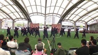 JR九州櫻燕隊 かごしま春祭 大ハンヤ 2018.04.29(日)