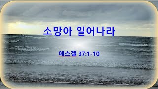 211003 소망의교회(안산) 에스겔 37:1-10 주일 낮 예배 (실시간)