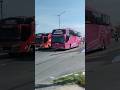 Pesona SAILORMOON PINKY BUS #busmania #buspariwisata #telolet #basuri