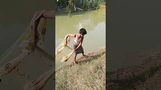 Net Fishing #fishing #fish #netfishing #shorts #youtubeshorts #funny