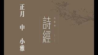 俗人读《诗》之《正月 中》｜诗｜诗经｜诗三百｜雅｜小雅｜正月