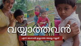 ആരൊക്കെയോ ഒപ്പം ഉണ്ടെന്ന തോന്നൽ നൽകിയ എല്ലാവരോടും സ്നേഹം മാത്രം ❤️❤️