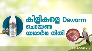 പക്ഷികളെ Deworm ചെയേണ്ട രീതി | Wormout Gel Use Malayalam | Birds deworming Malayalam Video.