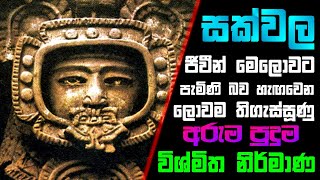 පිටසක්වළ ජීවීන් ‌මෙලොවට පැමිණි බව අඟවන ලොවම පුදුම වූ අරුම පුදුම විශ්මිත නිර්මාණ