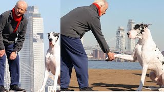 Bill Murray, Naomi Watts Wrap Up in Coats & Scarves for NYC Shoot of "The Friend"