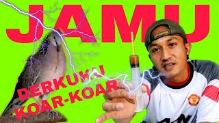 JAMU DERKUKU BIAR GACOR