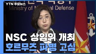 정부, 美·이란 '최악 상황' 대비...호르무즈 파병 고심 / YTN